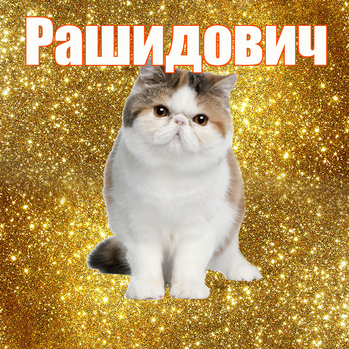Рашидович! С добрым утром! Красивая открытка Рашидовичу!
