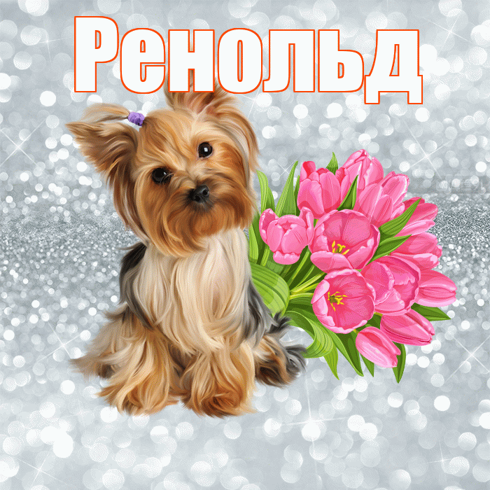Ренольд! С добрым утром! Красивая открытка Ренольду!