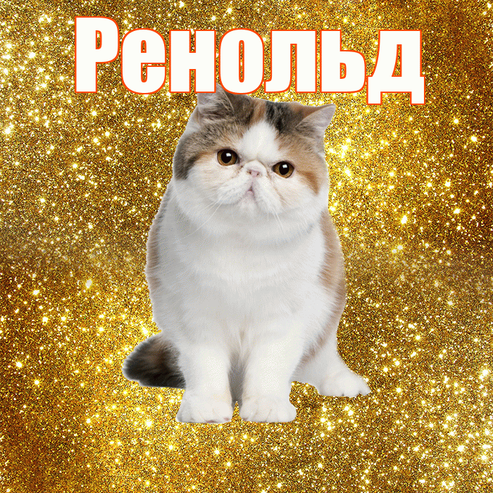 Ренольд! С добрым утром! Красивая открытка Ренольду!