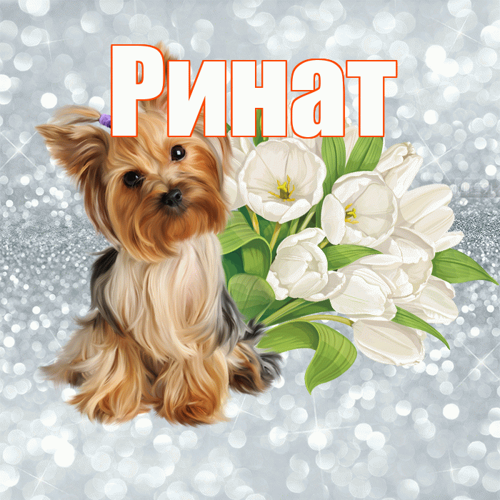 Ринат! С добрым утром! Красивая открытка Ринату!