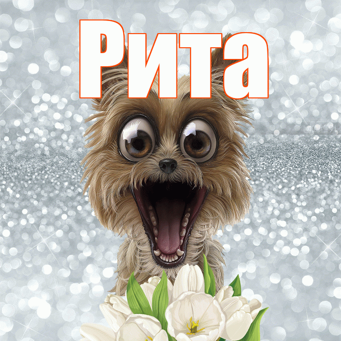 Рита! С добрым утром! Красивая открытка Рите!