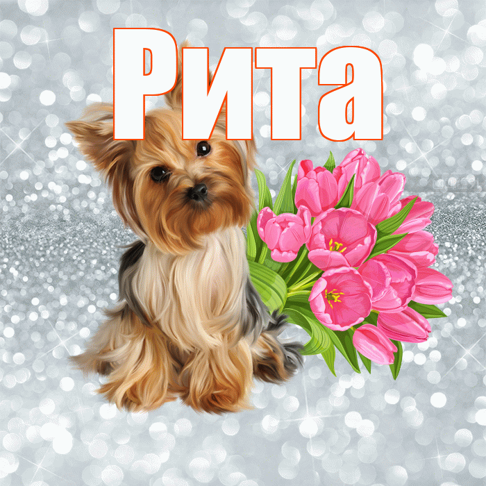 Рита! С добрым утром! Красивая открытка Рите!