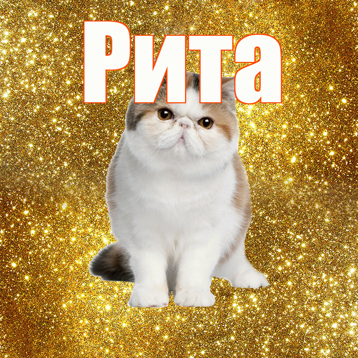 Рита! С добрым утром! Красивая открытка Рите!