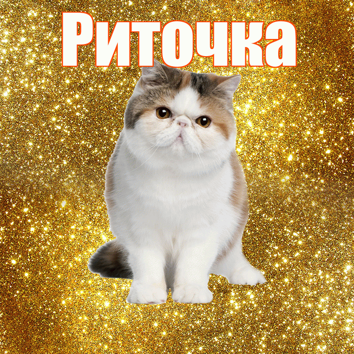 Риточка! С добрым утром! Красивая открытка !