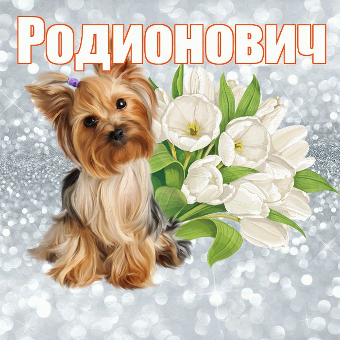 Родионович! С добрым утром! Красивая открытка Родионовичу!