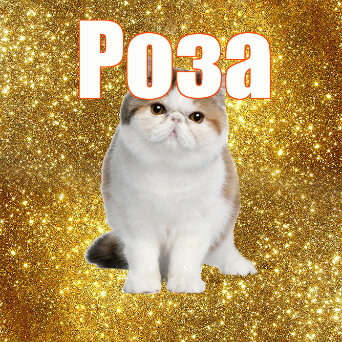 Роза! С добрым утром! Красивая открытка Розе!