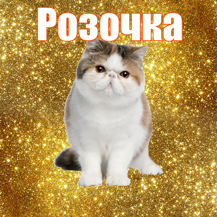 Розочка! С добрым утром! Красивая открытка !