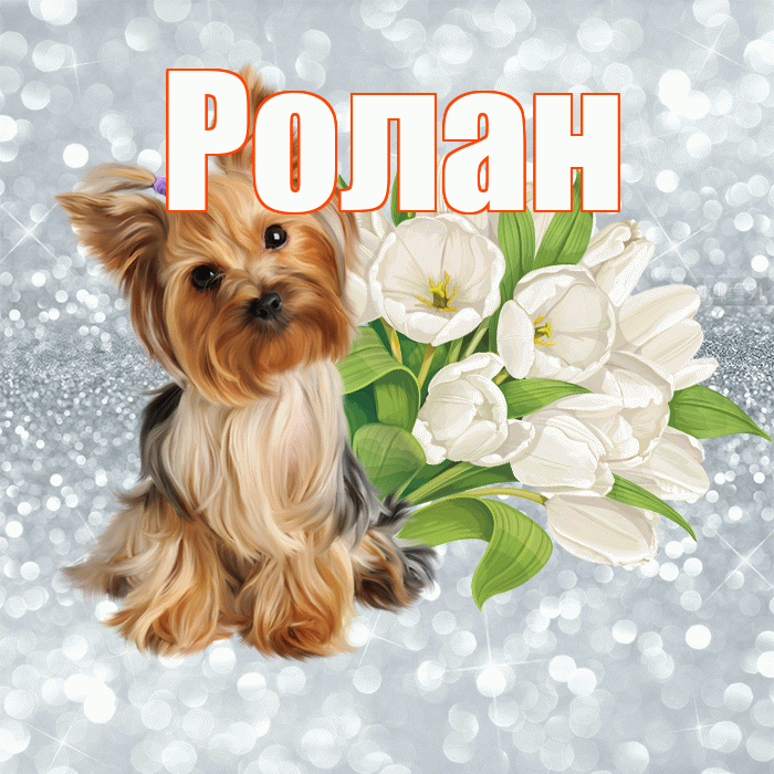 Ролан! С добрым утром! Красивая открытка Ролану!