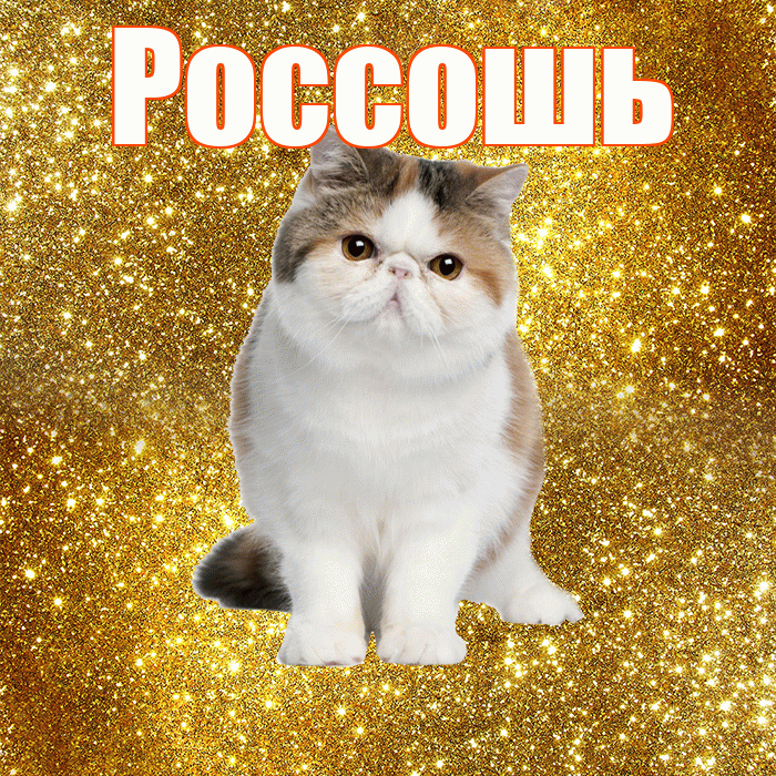 Россошь! С добрым утром! Красивая открытка Россошю!