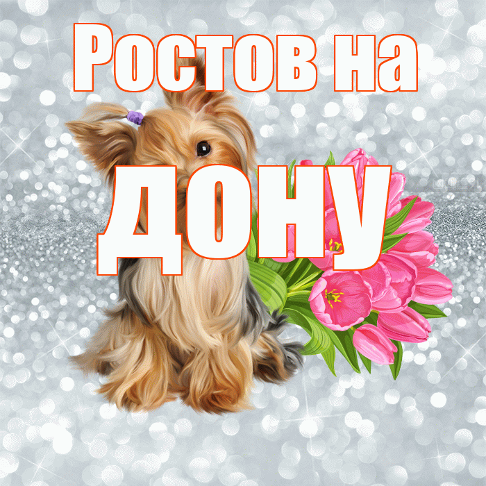 Ростов на дону! С добрым утром! Красивая открытка !