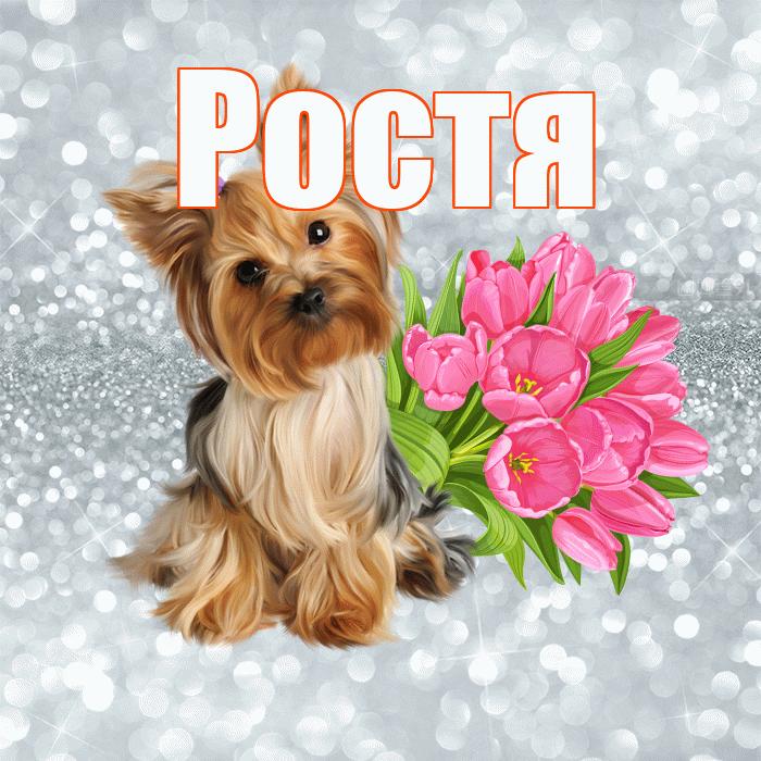 Ростя! С добрым утром! Красивая открытка Ростившему!
