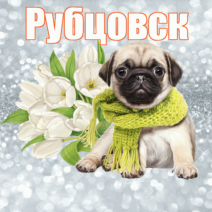 Рубцовск! С добрым утром! Красивая открытка Рубцовску!