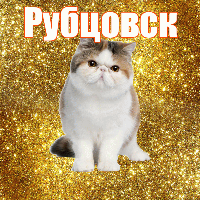 Рубцовск! С добрым утром! Красивая открытка Рубцовску!