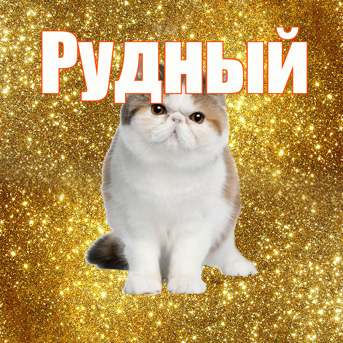 Рудный! С добрым утром! Красивая открытка Рудныю!