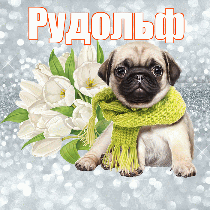 Рудольф! С добрым утром! Красивая открытка Рудольфу!
