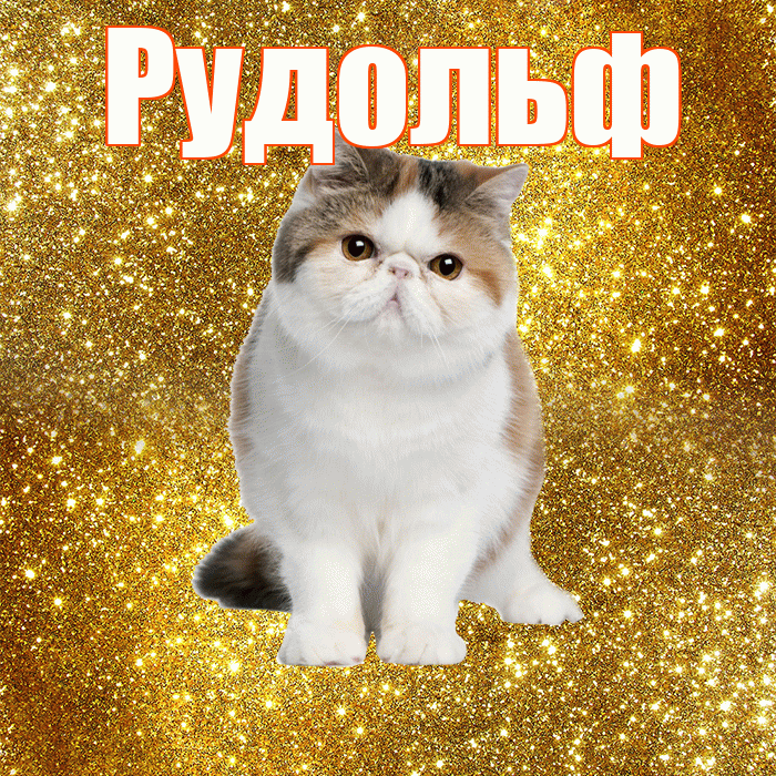 Рудольф! С добрым утром! Красивая открытка Рудольфу!
