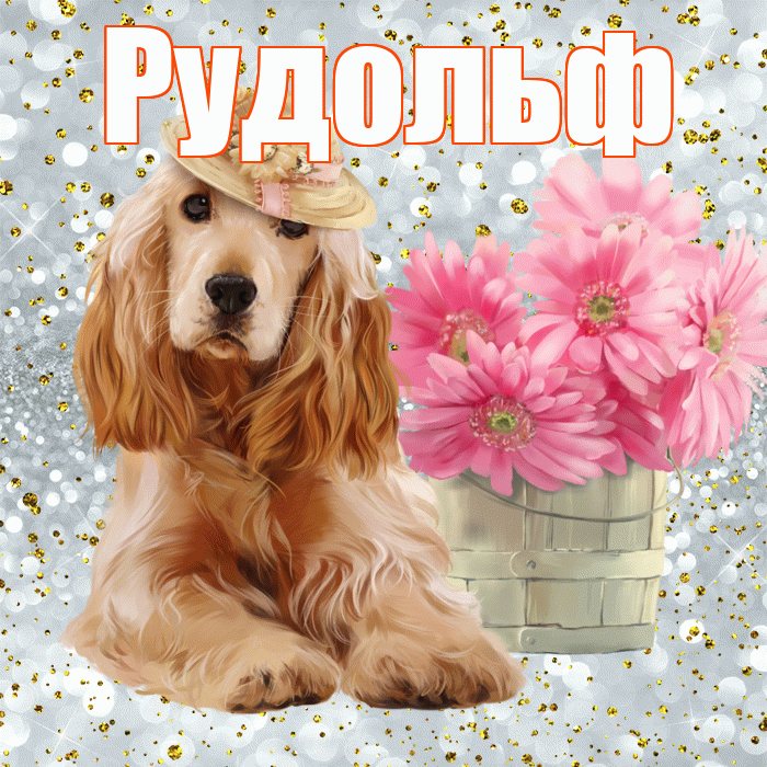 Рудольф! С добрым утром! Красивая открытка Рудольфу!