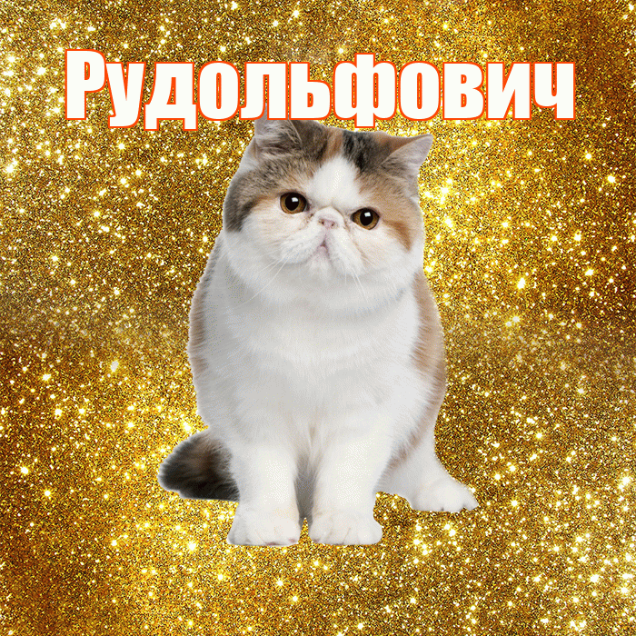 Рудольфович! С добрым утром! Красивая открытка Рудольфовичу!