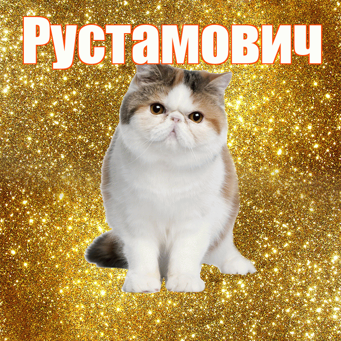 Рустамович! С добрым утром! Красивая открытка Рустамовичу!