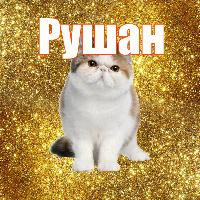 Рушан! С добрым утром! Красивая открытка Рушану!
