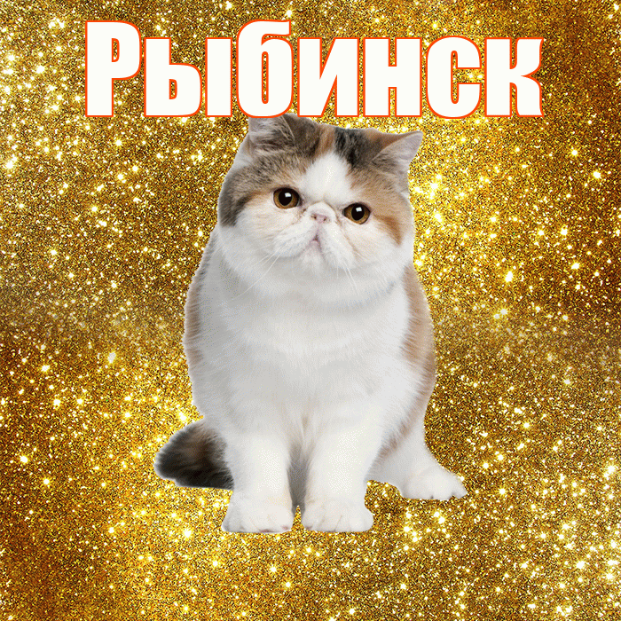 Рыбинск! С добрым утром! Красивая открытка Рыбинску!