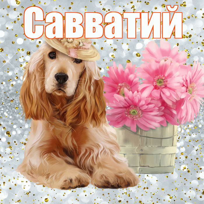 Савватий! С добрым утром! Красивая открытка Савватию!