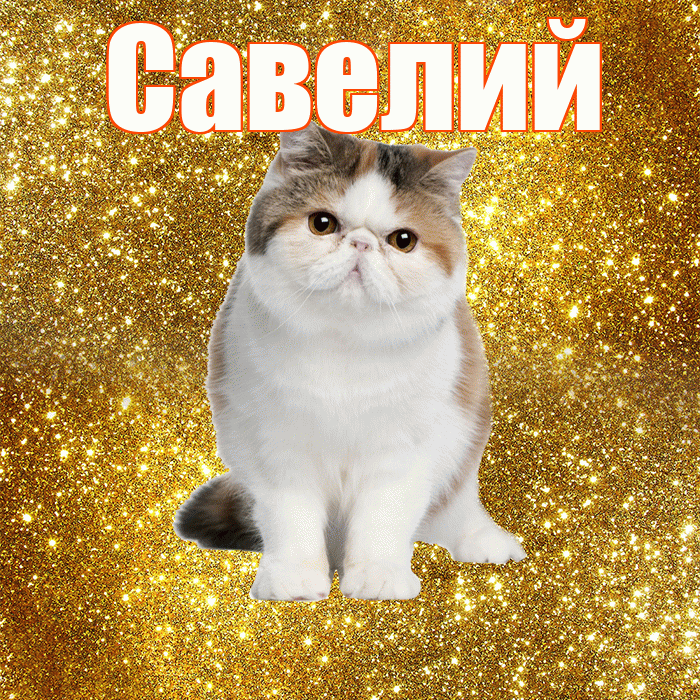 Савелий! С добрым утром! Красивая открытка Савелию!