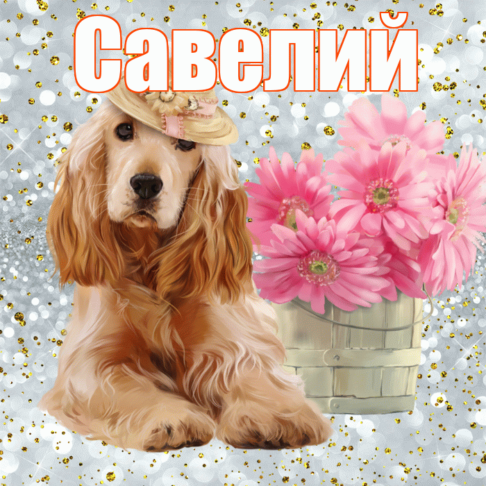 Савелий! С добрым утром! Красивая открытка Савелию!