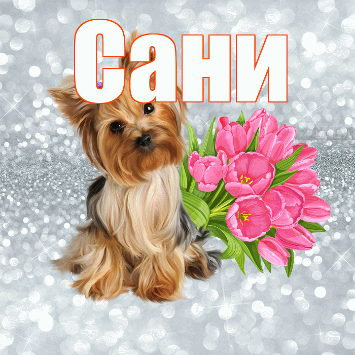 Сани! С добрым утром! Красивая открытка !