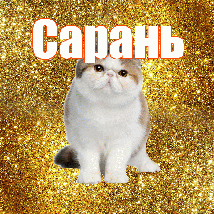 Сарань! С добрым утром! Красивая открытка Сараню!
