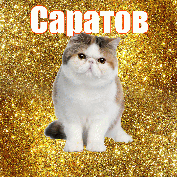 Саратов! С добрым утром! Красивая открытка Саратову!