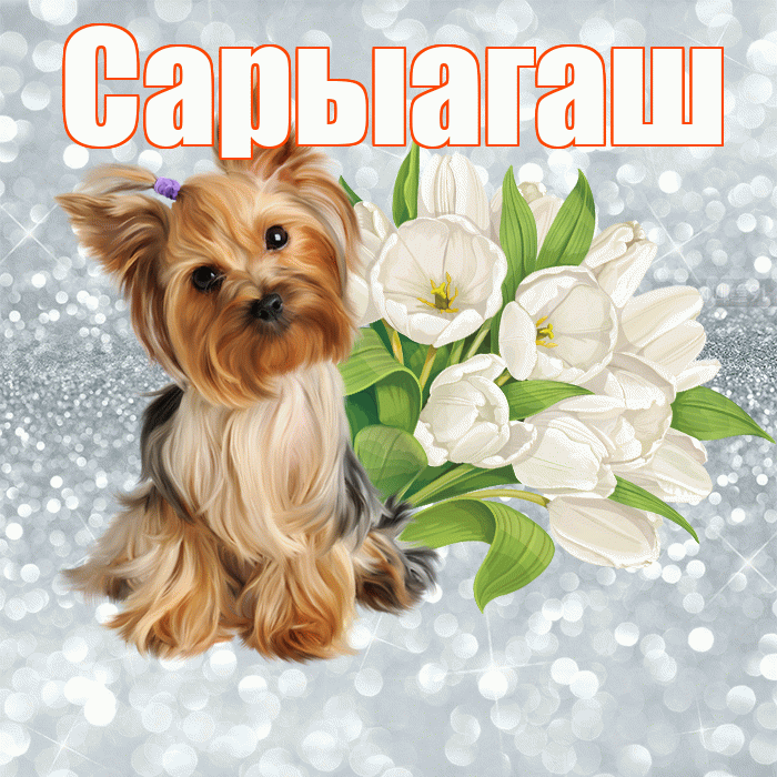 Сарыагаш! С добрым утром! Красивая открытка Сарыагашу!