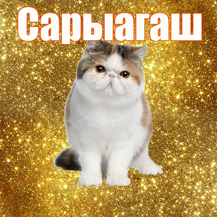 Сарыагаш! С добрым утром! Красивая открытка Сарыагашу!