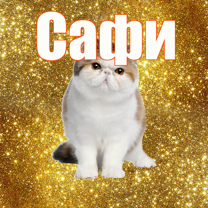 Сафи! С добрым утром! Красивая открытка !
