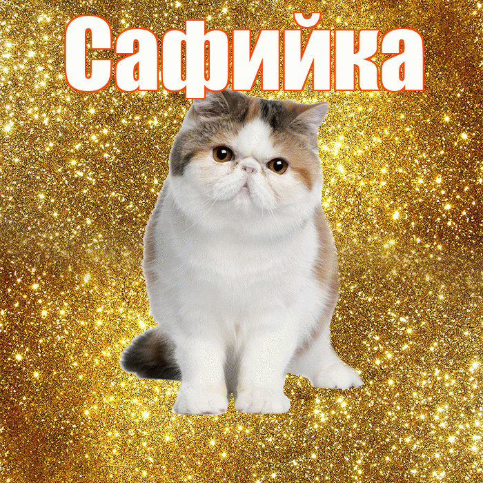 Сафийка! С добрым утром! Красивая открытка !