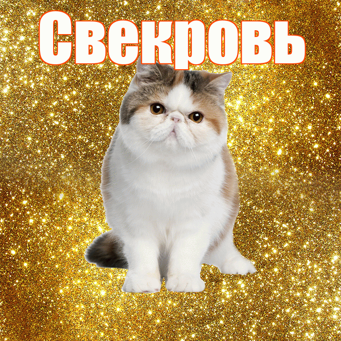 Свекровь! С добрым утром! Красивая открытка Свекрови!