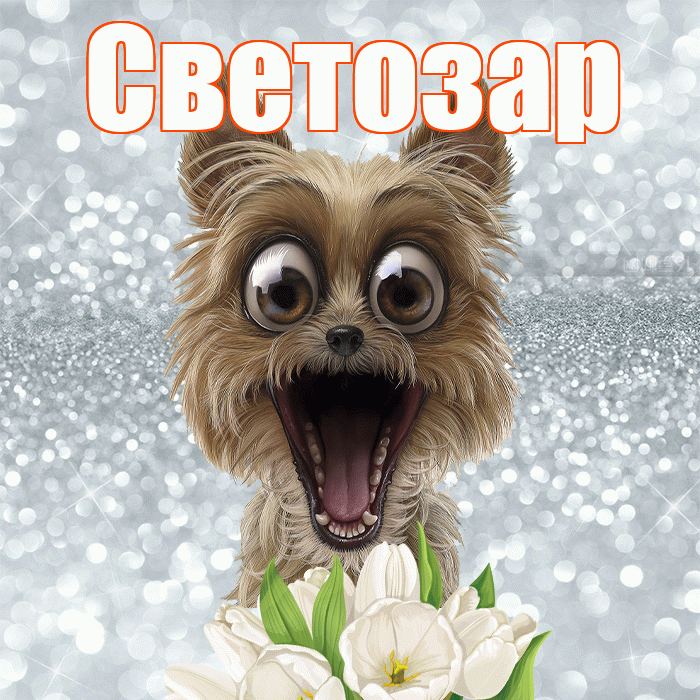 Светозар! С добрым утром! Красивая открытка Светозару!