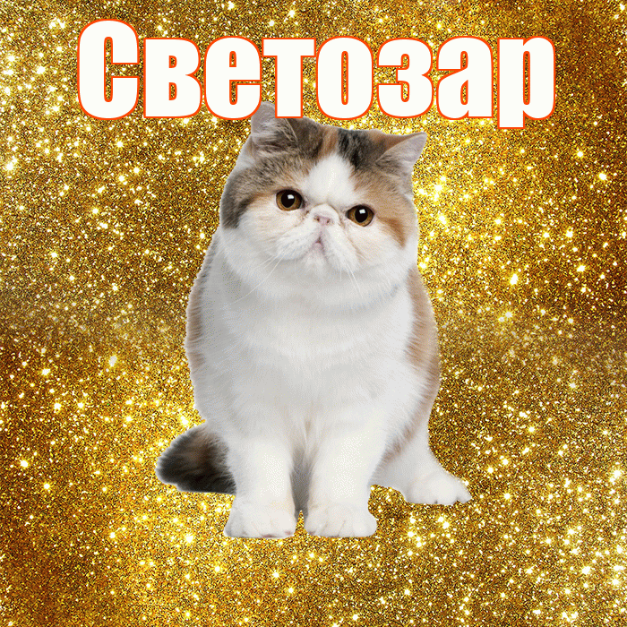 Светозар! С добрым утром! Красивая открытка Светозару!
