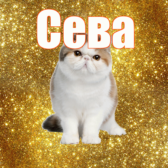 Сева! С добрым утром! Красивая открытка Севовне!