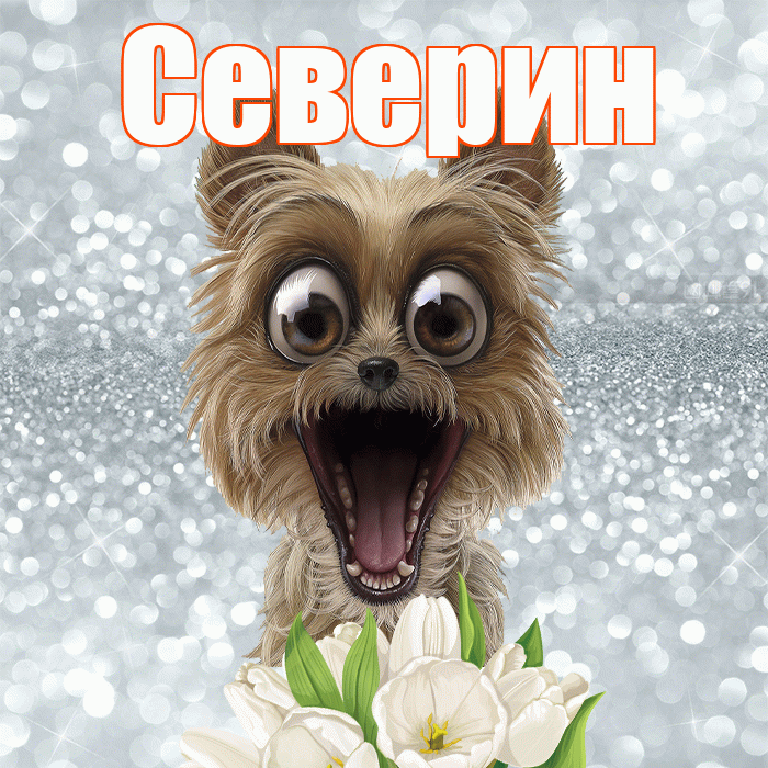 Северин! С добрым утром! Красивая открытка Северину!
