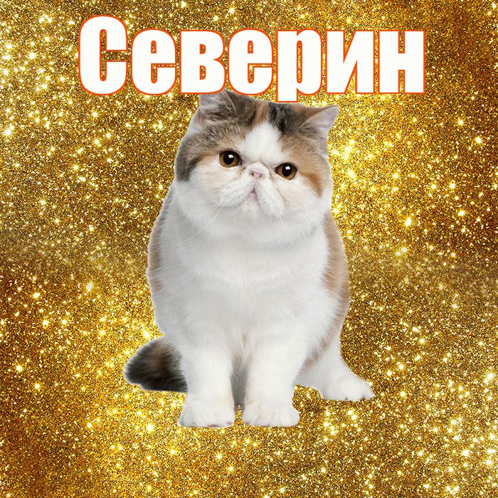 Северин! С добрым утром! Красивая открытка Северину!