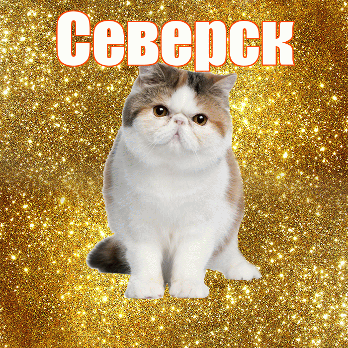 Северск! С добрым утром! Красивая открытка Северску!