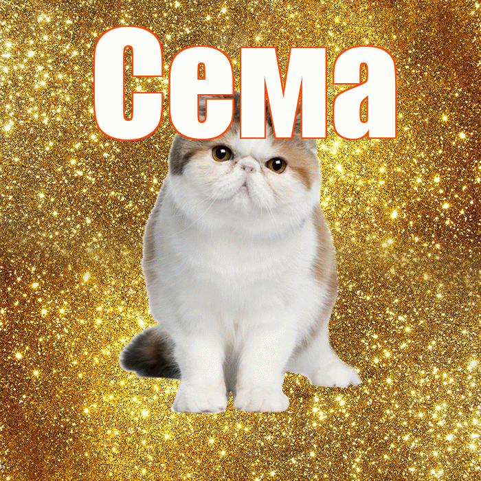 Сема! С добрым утром! Красивая открытка Сёму!