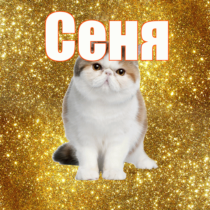 Сеня! С добрым утром! Красивая открытка Сене!