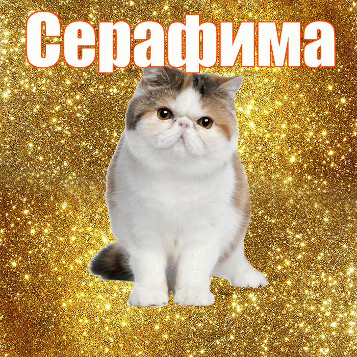 Серафима! С добрым утром! Красивая открытка Серафимовне!