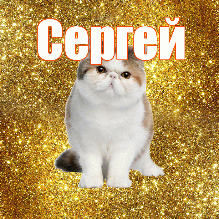 Сергей! С добрым утром! Красивая открытка Сергею!