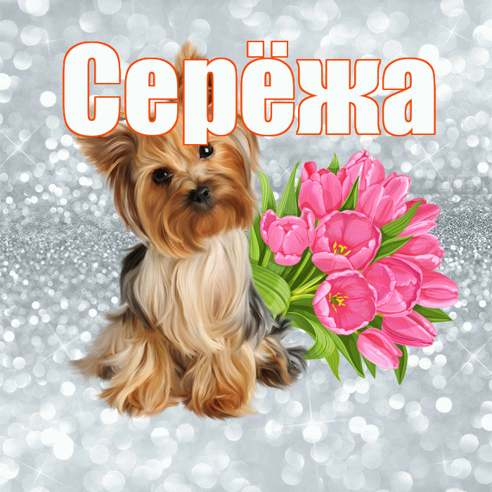Серёжа! С добрым утром! Красивая открытка !