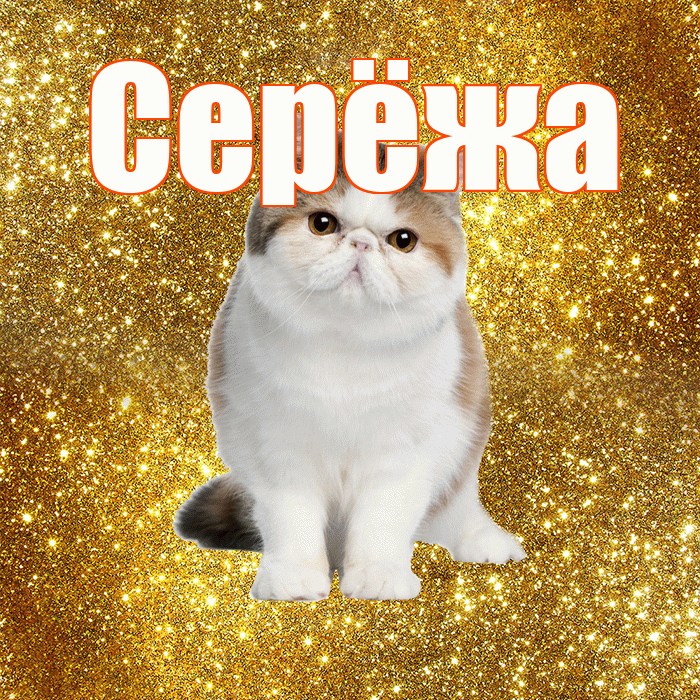 Серёжа! С добрым утром! Красивая открытка !