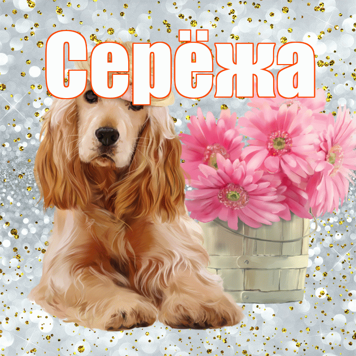 Серёжа! С добрым утром! Красивая открытка !
