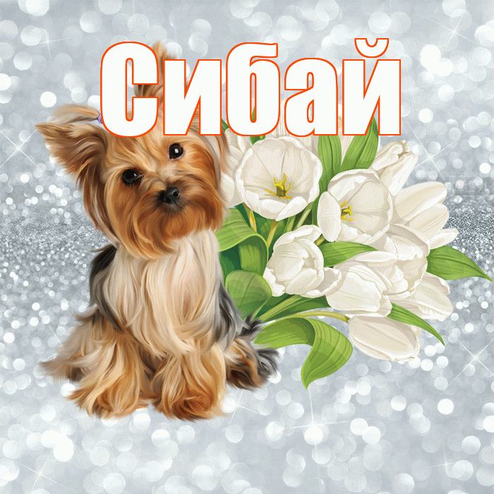 Сибай! С добрым утром! Красивая открытка Сибаю!